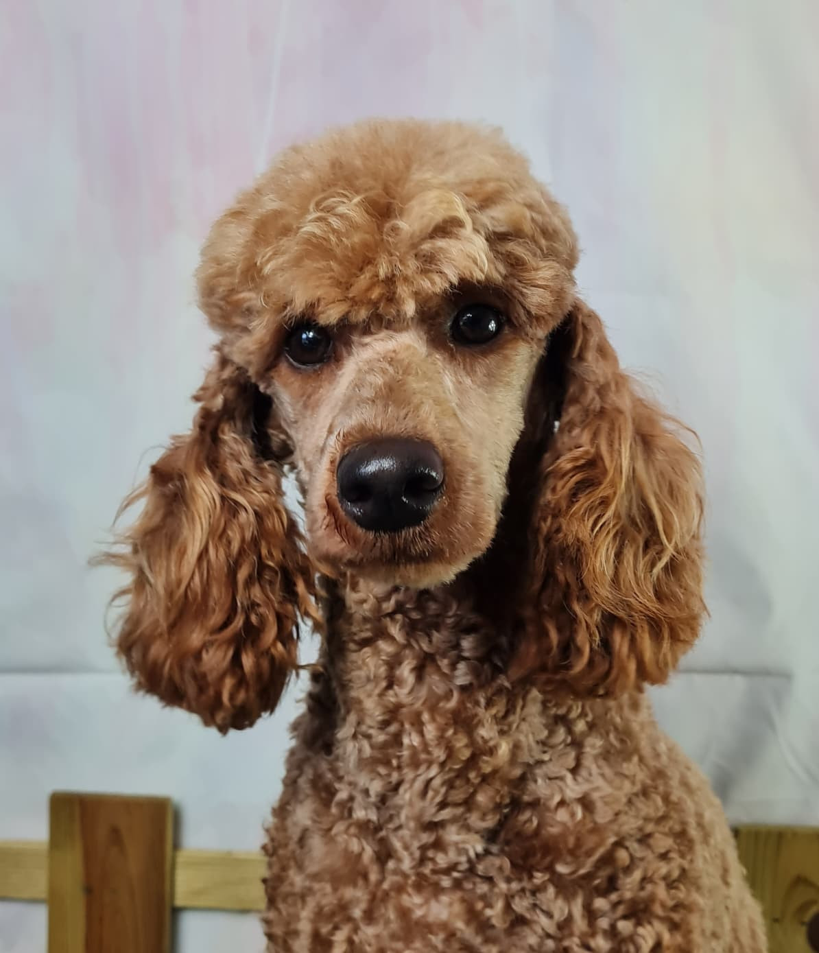 UKALA du Moulin de la Terrasse