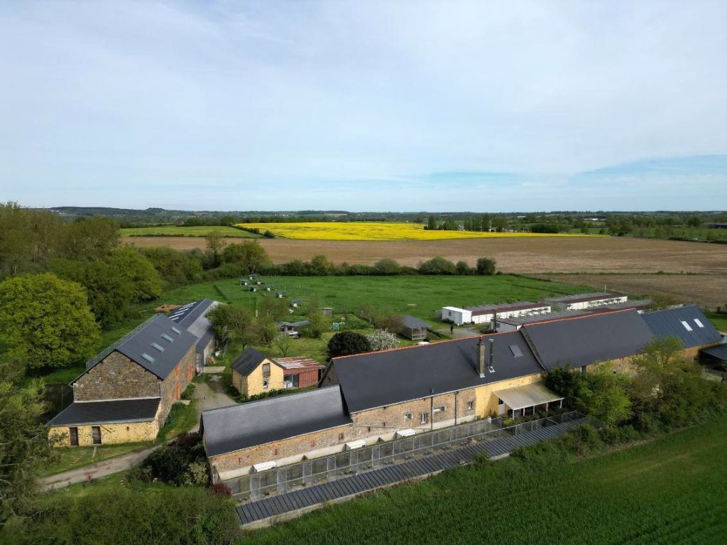 du mont de la chenaie - Notre site internet : https://www.elevage-fermedeshallais.fr